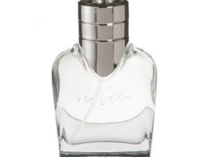 Van Gils - Basic Instinct - 40 ml - Edt